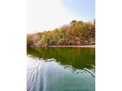 Stunning 100-foot lakefront lot with breathtaking, miles-long - photo 15