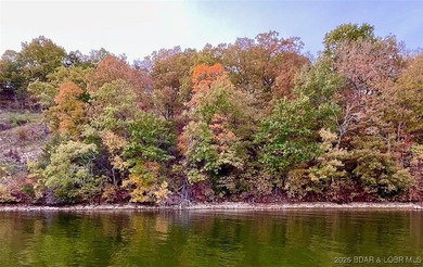 Stunning 100-foot lakefront lot with breathtaking, miles-long - photo 17