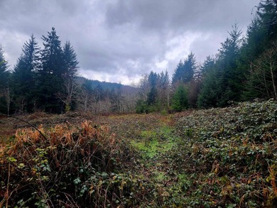 Secluded 33.55 Acre Homestead with Creek Frontage steps away - photo 17