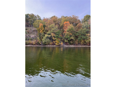 Stunning 100-foot lakefront lot with breathtaking, miles-long - photo 18
