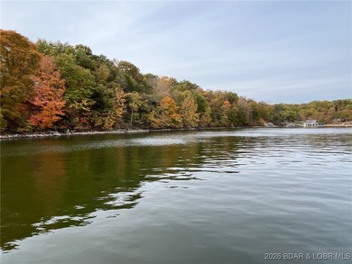 Stunning 100-foot lakefront lot with breathtaking, miles-long - photo 19
