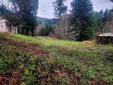 Secluded 33.55 Acre Homestead with Creek Frontage steps away - photo 19