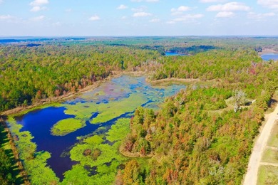 A hunter and fisherman's paradise!! Located in Choctaw County - photo 22