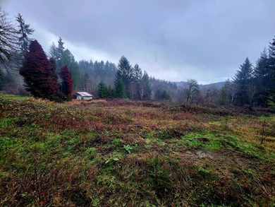 Secluded 33.55 Acre Homestead with Creek Frontage steps away - photo 33