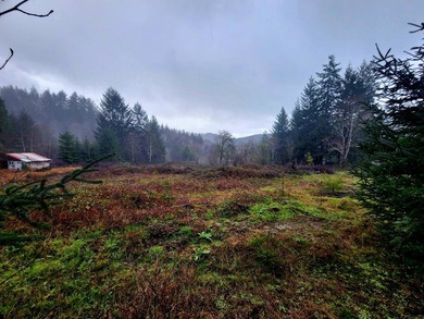 Secluded 33.55 Acre Homestead with Creek Frontage steps away - photo 34