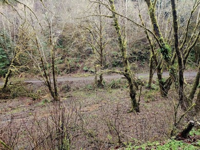 Secluded 33.55 Acre Homestead with Creek Frontage steps away - photo 35