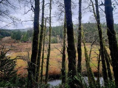 Secluded 33.55 Acre Homestead with Creek Frontage steps away - photo 37