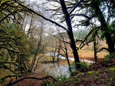 Secluded 33.55 Acre Homestead with Creek Frontage steps away - photo 38