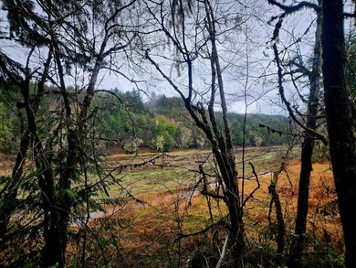 Secluded 33.55 Acre Homestead with Creek Frontage steps away - photo 39