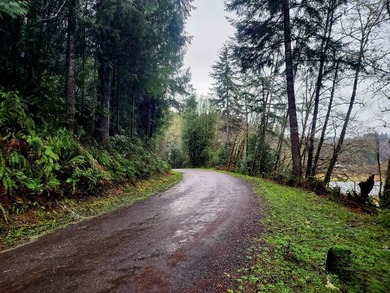 Secluded 33.55 Acre Homestead with Creek Frontage steps away - photo 41