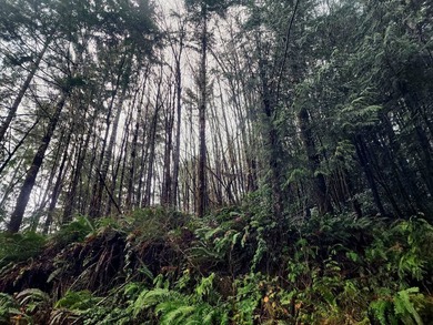 Secluded 33.55 Acre Homestead with Creek Frontage steps away - photo 42