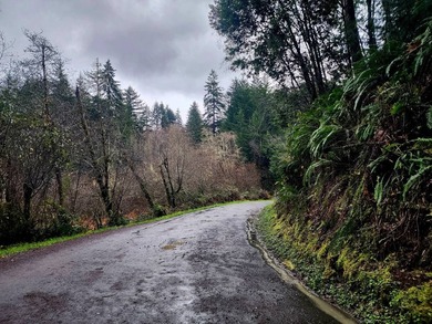 Secluded 33.55 Acre Homestead with Creek Frontage steps away - photo 43