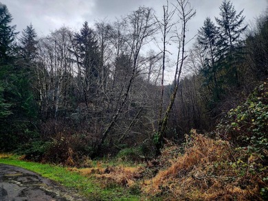 Secluded 33.55 Acre Homestead with Creek Frontage steps away - photo 44