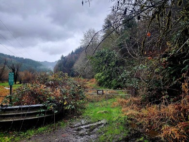 Secluded 33.55 Acre Homestead with Creek Frontage steps away - photo 45
