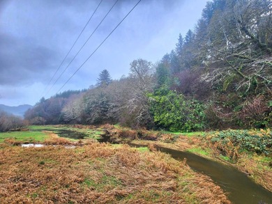 Secluded 33.55 Acre Homestead with Creek Frontage steps away - photo 49