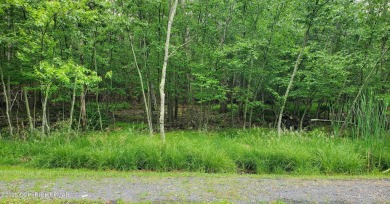 Lake Lot For Sale in Tamiment, Pennsylvania