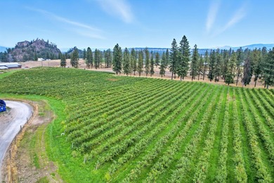 A rare offering in Eastern WA, Willow Wind Organic Farms - photo 32