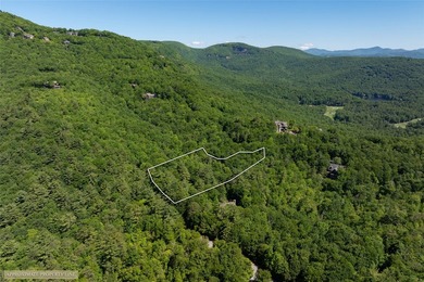 Welcome to your private mountain retreat with deeded lake access - photo 48