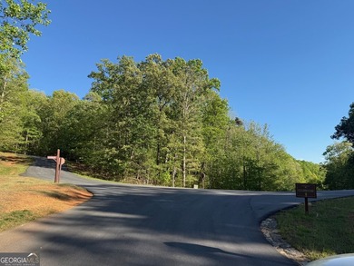 2.07 land lot in the beautiful Lake Laceola Community.| Laceola - photo 2