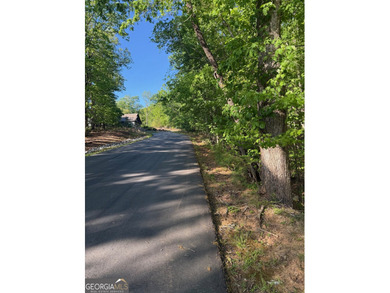 2.07 land lot in the beautiful Lake Laceola Community.| Laceola - photo 3