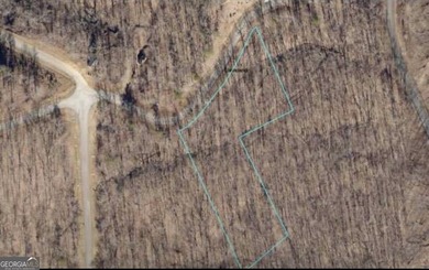 2.07 land lot in the beautiful Lake Laceola Community.| Laceola - photo 4
