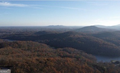 2.07 land lot in the beautiful Lake Laceola Community.| Laceola - photo 6