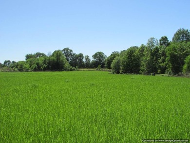 Spanning 439 acres this expansive property features rolling - photo 11
