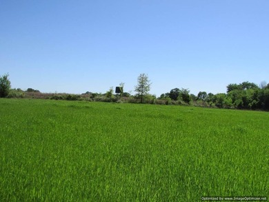 Spanning 439 acres this expansive property features rolling - photo 12