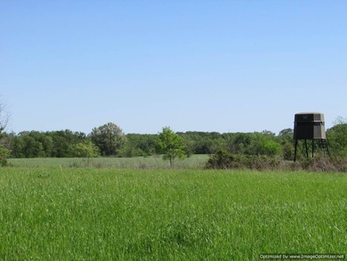 Spanning 439 acres this expansive property features rolling - photo 14