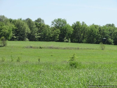 Spanning 439 acres this expansive property features rolling - photo 15