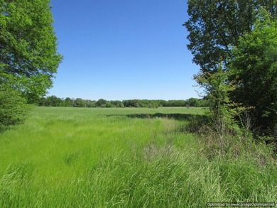 Spanning 439 acres this expansive property features rolling - photo 16
