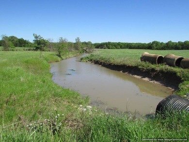 Spanning 439 acres this expansive property features rolling - photo 18