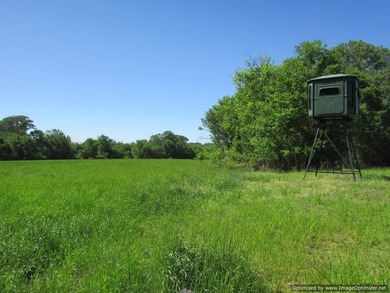 Spanning 439 acres this expansive property features rolling - photo 19