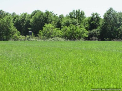 Spanning 439 acres this expansive property features rolling - photo 20