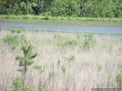 Spanning 439 acres this expansive property features rolling - photo 22