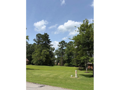 This beautiful level property is a rare find in a community such - photo 10