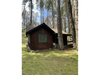 (private lake, pond, creek) Home For Sale in California Hot Springs California