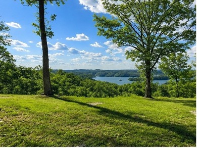 Stunning lot with a breathtaking Dale Hollow Lake view. Lot has - photo 2