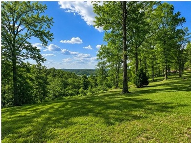 Stunning lot with a breathtaking Dale Hollow Lake view. Lot has - photo 3