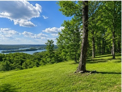 Stunning lot with a breathtaking Dale Hollow Lake view. Lot has - photo 4