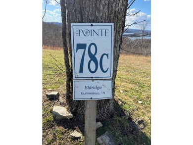 Stunning lot with a breathtaking Dale Hollow Lake view. Lot has - photo 6