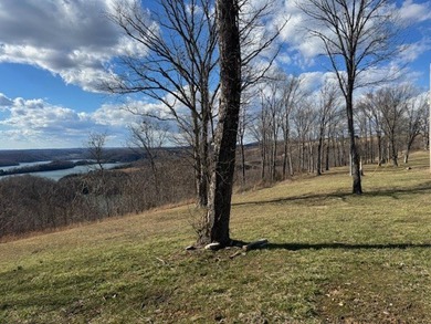 Stunning lot with a breathtaking Dale Hollow Lake view. Lot has - photo 8