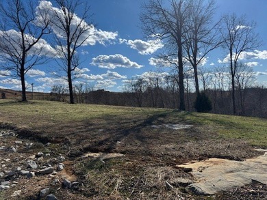 Stunning lot with a breathtaking Dale Hollow Lake view. Lot has - photo 9