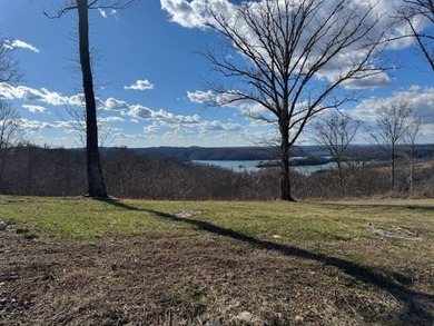 Stunning lot with a breathtaking Dale Hollow Lake view. Lot has - photo 10