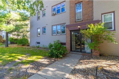 Lake Condo For Sale in Minneapolis, Minnesota