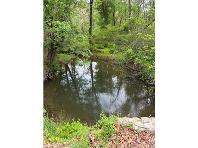 This 4.797-acre wooded parcel is located along Bennett Road near - photo 4