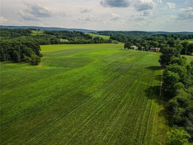 Welcome to 440 Owl Hollow Road - A Scenic Laurel Highlands - photo 49