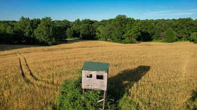 423+/- acre estate in Harrisburg, MO featuring a 27-acre stocked - photo 5
