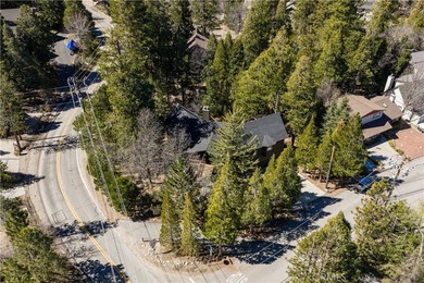 Introducing The Pinecrest Retreat-a refined modern mountain - photo 33