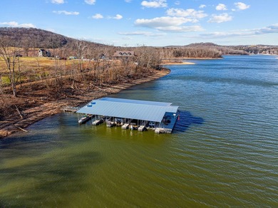 WHAT A VIEW!! Beautiful 6-acre vacant land parcel in Omaha, AR - photo 11